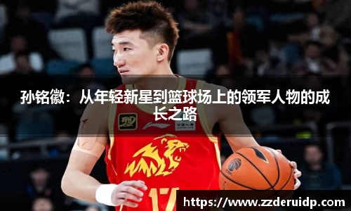 金彩汇平台